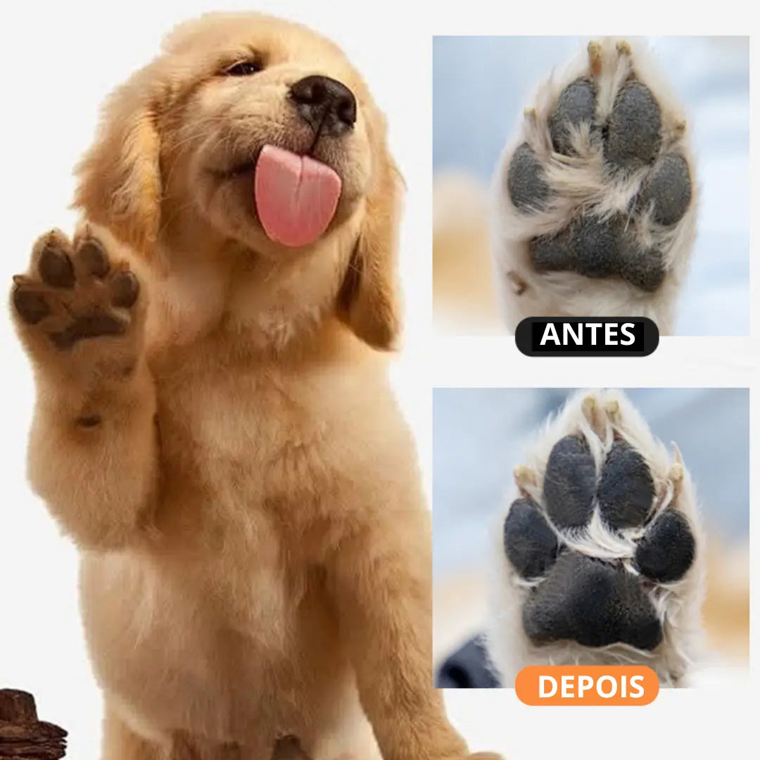 Limpeza das patas do seu animal de estimação sem sabão