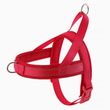 Red dog harness on a white background