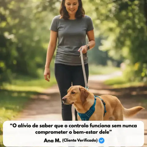 Woman walking a dog on a leash in a park with a quote at the bottom.