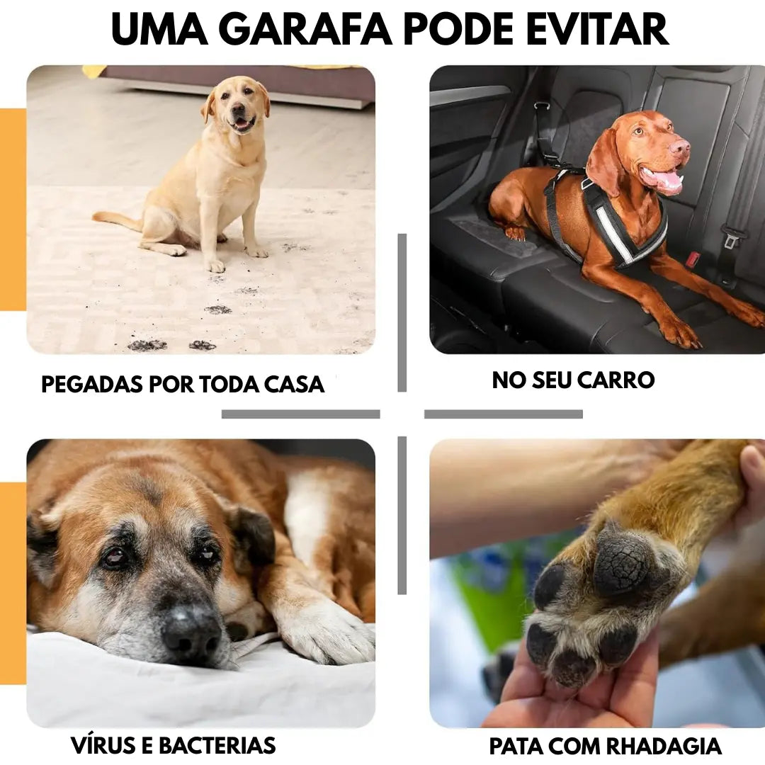 Limpeza das patas do seu animal de estimação sem sabão