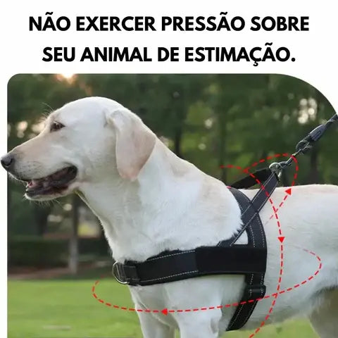 White dog wearing a black harness with text about not putting pressure on pets.