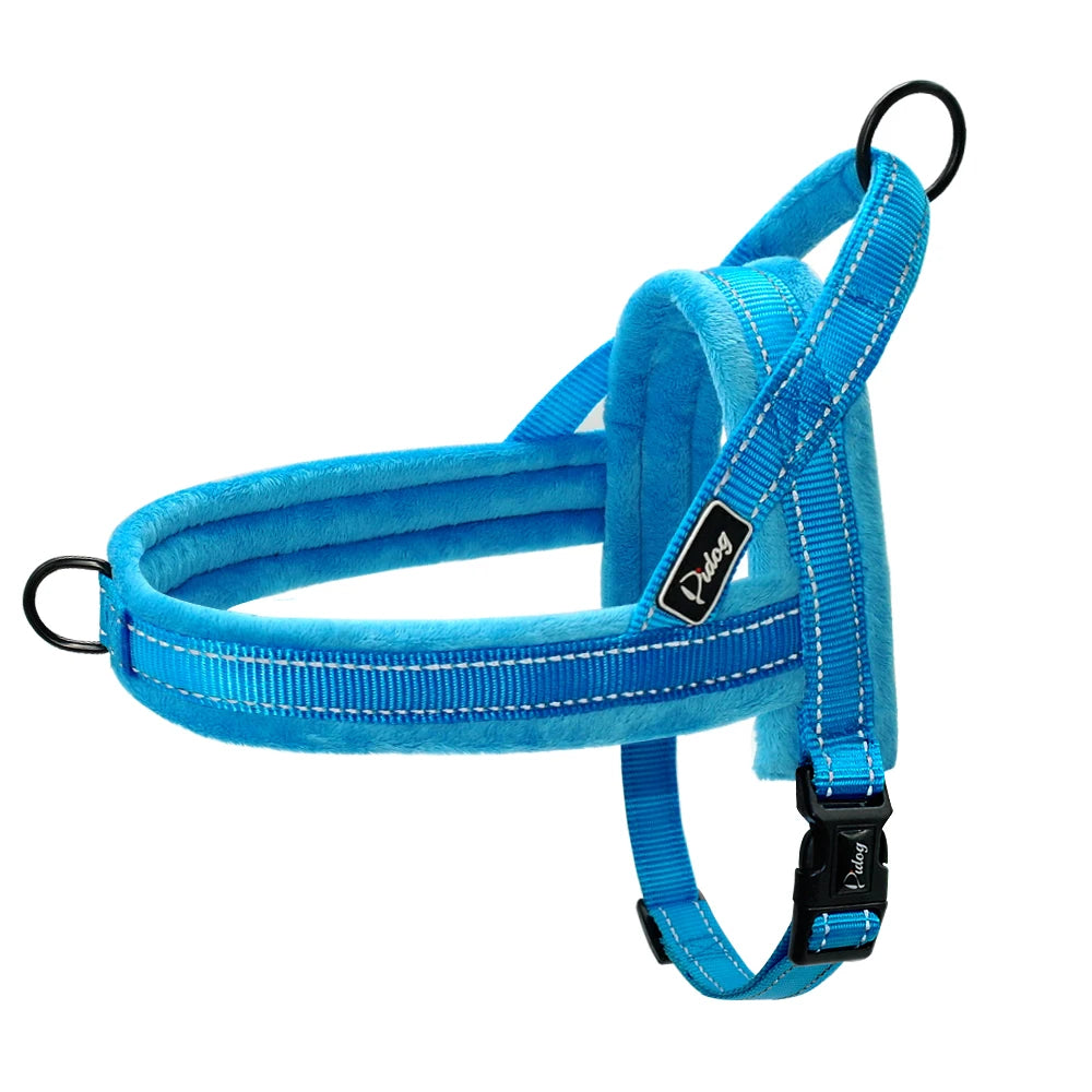 Blue dog harness with black buckles on a white background