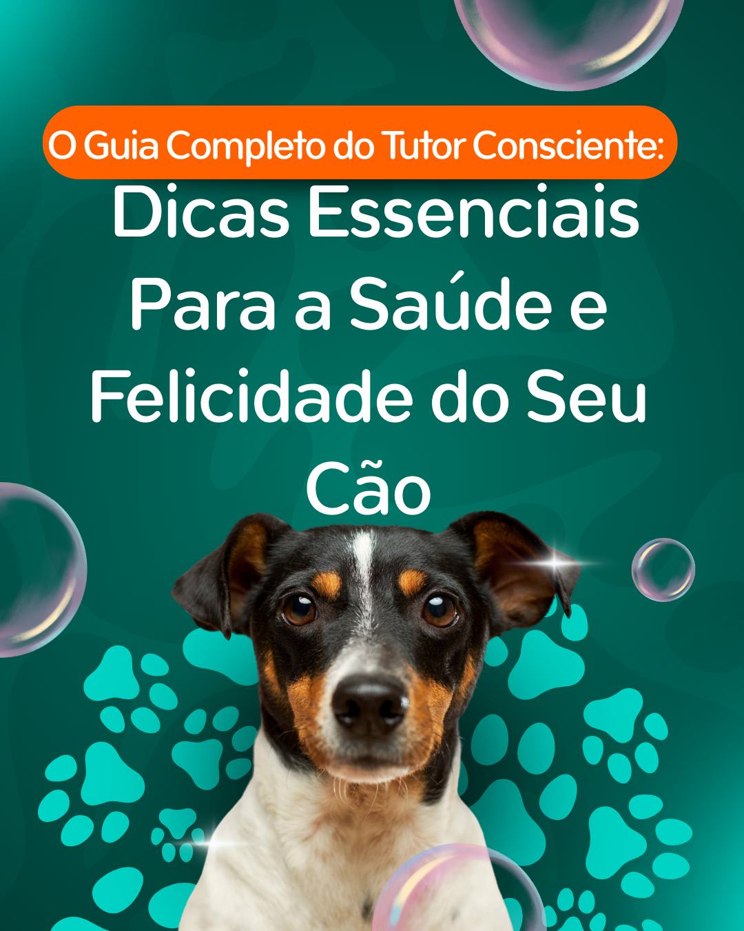 O Guia Completo Para a Saúde e Felicidade do Seu Cão