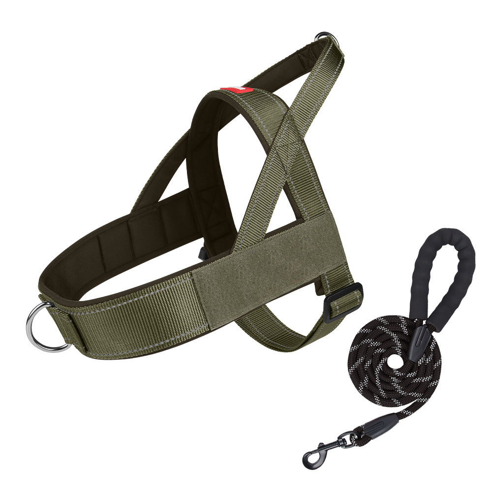 Green dog harness and leash set on a white background