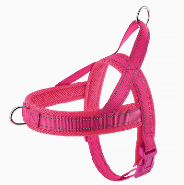 Pink dog harness on a white background