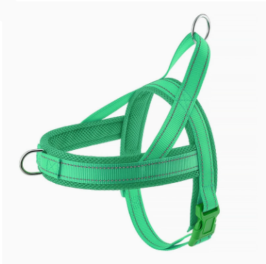 Green dog harness on a white background
