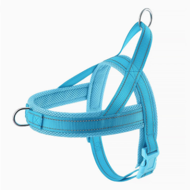 Blue dog harness on a white background